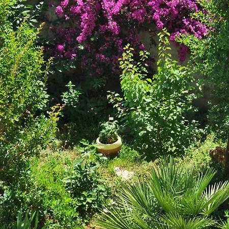 Villa Luka Dubrovnik Extérieur photo